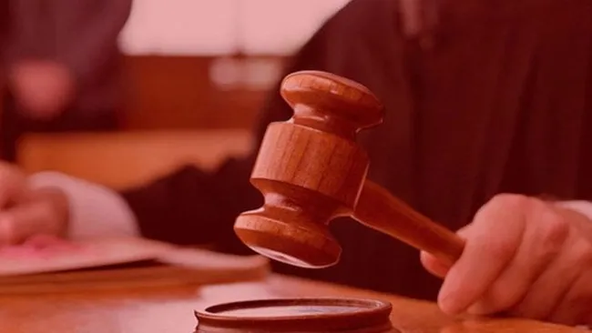 Yargıtay'dan emsal karar! Büyükanne ve büyükbabalar torunlarını yatılı misafir edebilecek - 1