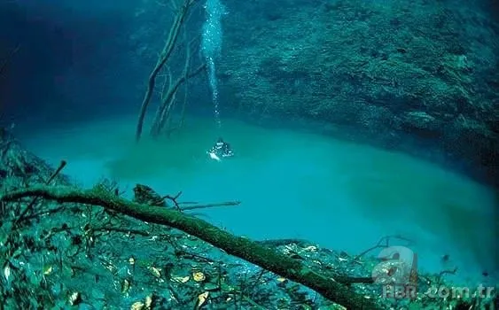 Türklerin soyu nereden geliyor? (Türkler bu kıtadan mı geliyor?) 12