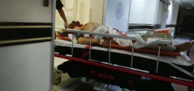 Erzurum'da ayı saldırısı: 1 ölü, 2 yaralı