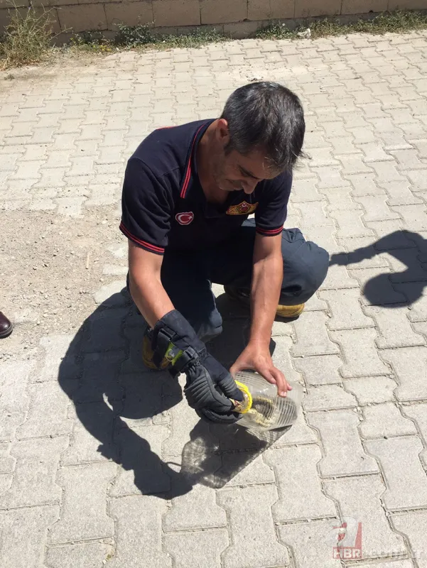 Sokakta korku dolu anlar! Yılan paniği ekipleri harekete geçirdi 4