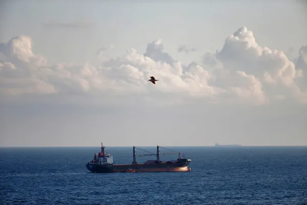 Tahıl sevkiyatında gemiler yola çıktı! Milli Savunma Bakanlığı’ndan son dakika açıklaması