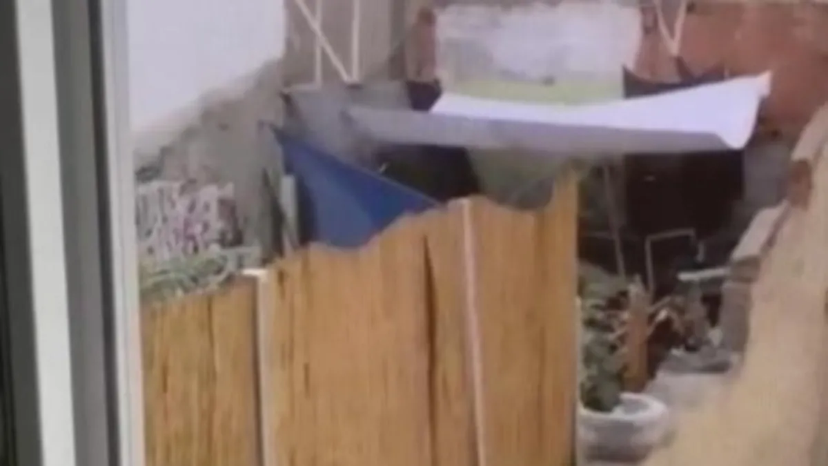 Köpeğe eziyet etti! O vicdansız kıskıvrak yakalandı