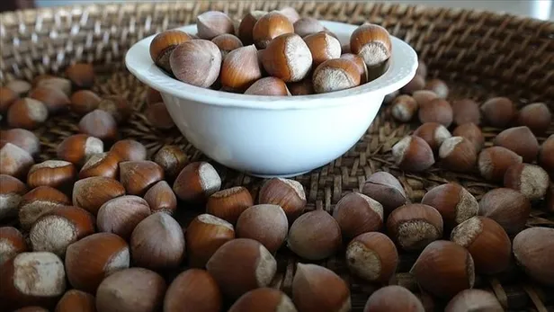 il-il-findik-fiyatlari-ne-kadar-oldu-11-kasim-giresun-ordu-sakarya-trabzon-findik-fiyatlari-kac-tl-tmo-findik-1668152970232.jpg İl il fındık fiyatları ne kadar oldu? 11 Kasım Giresun, Ordu, Sakarya, Trabzon fındık fiyatları kaç TL? TMO fındık alım fiyatı! - 7