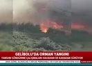 Geliboluda korkutan yangın