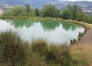 Gurbetçi kadın gölette ölü bulundu