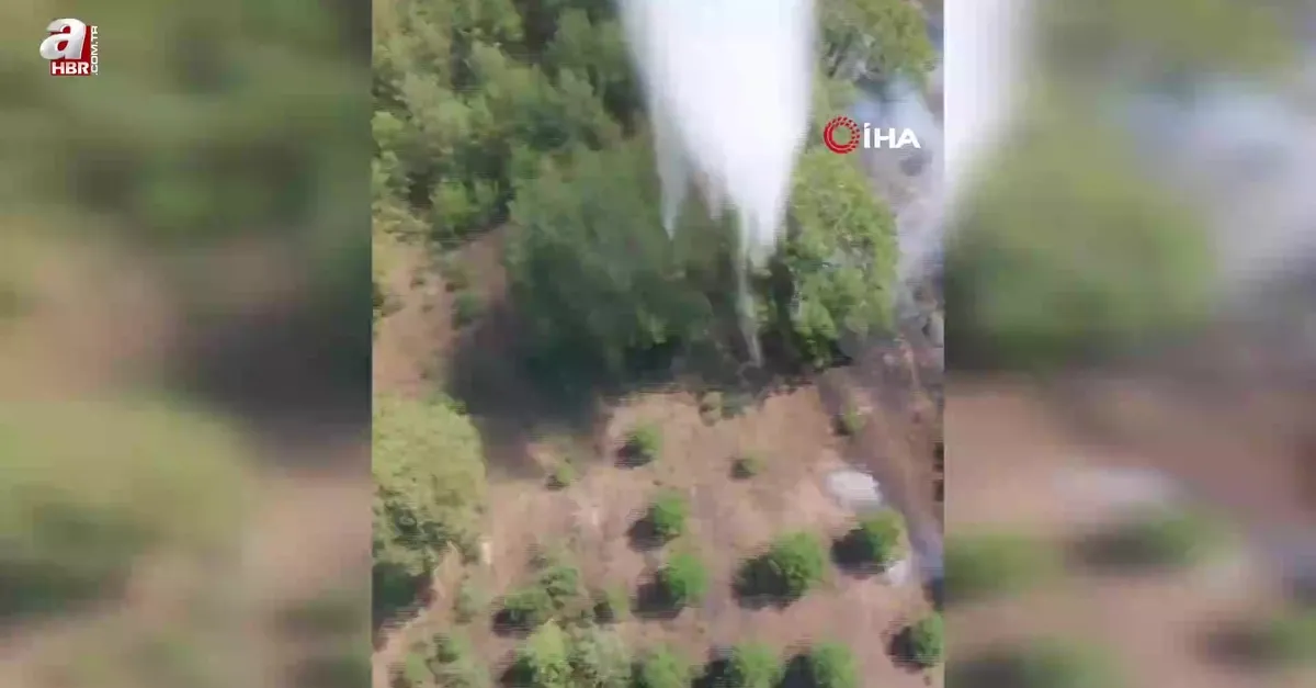 Orman yangını büyümeden söndürüldü