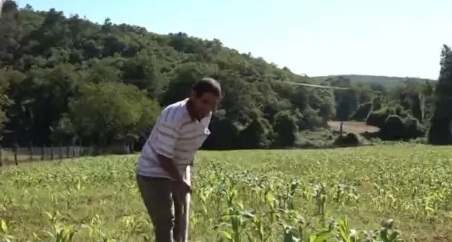 Şile’de bir emeğin hikayesi! Herkesin yardımına koşuyor