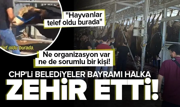 CHP'li belediyeler bayramı halka zehir etti! İstanbul'da kurban kesim rezaleti kamerada! Vatandaş isyan etti