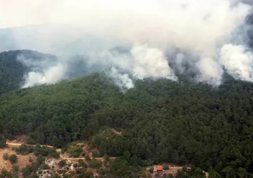 Kazdağları'nda 4 ayrı noktada orman yangını