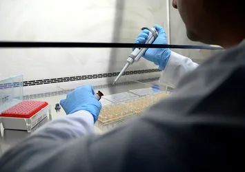 Bilim insanlarından 'kanser aşısı' çalışması