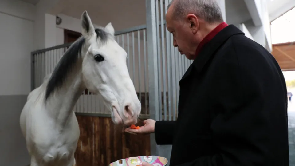 Başkan Erdoğan Ankara Geleneksel Sporlar Tesisi'nde incelemelerde bulundu