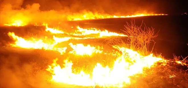 YPG/PKK Tel Rıfat’ta sivillerin arazilerini yaktı