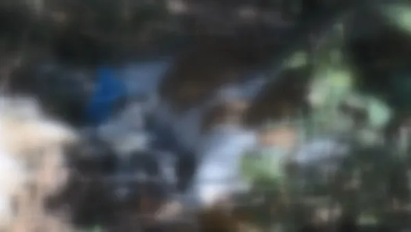 cop-posetinden-cikanlar-kan-dondurdu-ormanda-agzi-bagli-sekilde-bulundu-1666703573411.jpg Çöp poşetinden çıkanlar kan dondurdu! Ormanda ağzı bağlı şekilde bulundu - 2