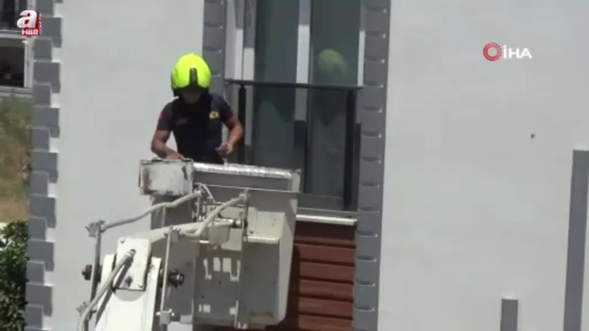 Aydın'da itfaiyeden kuş operasyonu