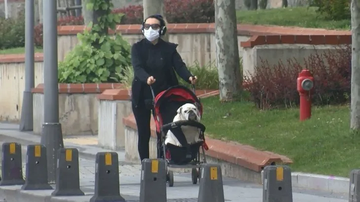 Bağdat Caddesi eski günlerini aratmadı! Kurallar hiçe sayıldı, köpeğini bebek arabasında gezdirdi