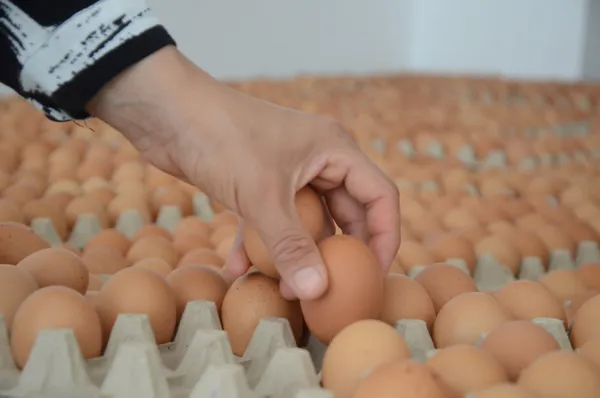 Aldıkları kursla kendi işinin patronu oldular! - 2