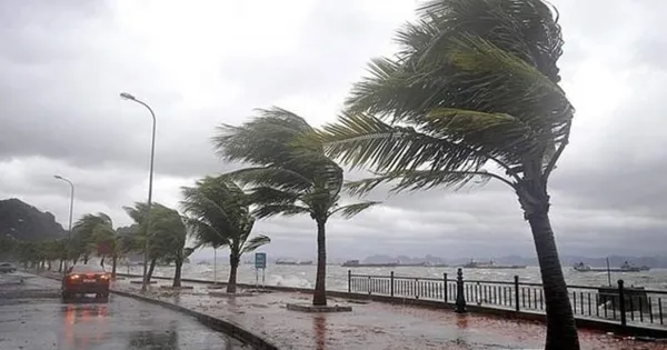 meteorolojiden-son-dakika-uyarisi-kuvvetli-ruzgar-geliyor-5-gunluk-hava-durumu-1612897972947.jpg Meteoroloji'den son dakika uyarısı! Kuvvetli rüzgar geliyor! 5 günlük hava durumu - 1