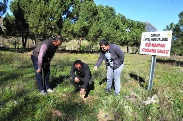 bakanliktan-orman-koylulerine-765-milyon-tl-destek-81-bin-kisiye-istihdam-kapisi-1644301041149.jpg Bakanlıktan orman köylülerine 765 milyon TL destek: 81 bin kişiye istihdam kapısı - 5