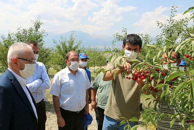 Erzincan’dan 95 ülkeye vişne ihracatı - 3