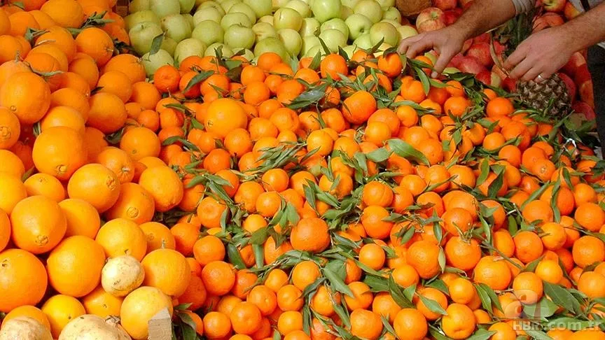 Mandalinaların ömrünü uzatan sır! O detayı kimse bilmiyor: Hemen uygulayın 5