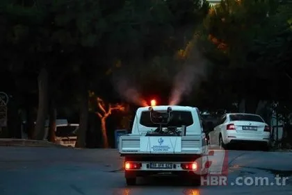 İstanbul’da ‘Aedes’ alarmı! Hastane başvuruları arttı