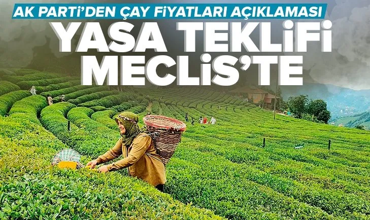 Son dakika | AK Parti’den çay fiyatları açıklaması! Yasa teklifi TBMM’ye sunuldu