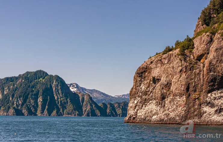 20 bin kişi ansızın kayboldu! Sırrını kimse çözemiyor: Bermuda Üçgeni kadar gizemli... 1