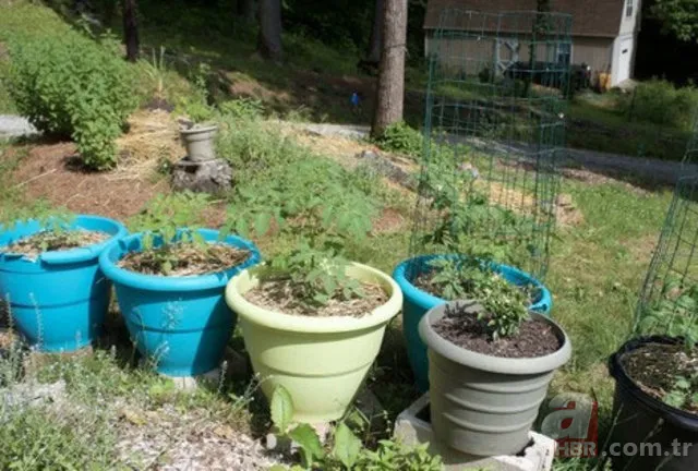 Kurban etinden Adana kebap tarifi! Ustası A Haber’e anlattı, işte o tarif 66