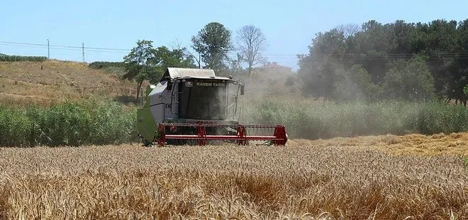 Türkiye’nin liderliğinde tahıl krizi çözüldü! Fiyatlar rayına oturdu