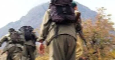 Son dakika: Bakanlık duyurdu: Tunceli'de 2 terörist etkisiz hale getirildi