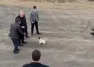 Başkan Erdoğan’dan hayvan barınağına ziyaret