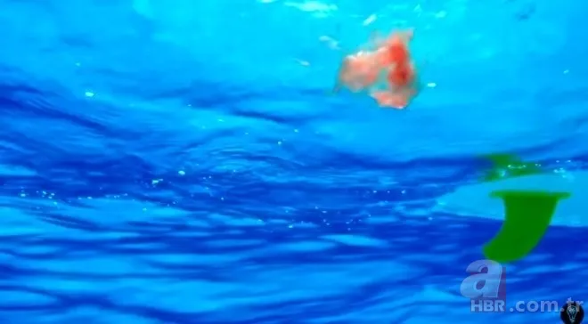 Sosyal medyayı sallayan köpek balığı deneyi yürekleri ağızlara getirdi! Okyanusa kan döküp bekledi ve... 12