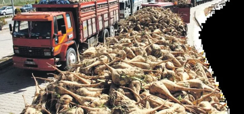 400 bin pancar emekçisinin yüzü güldü