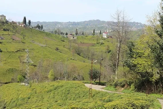 Rize’nin Kalkandere ilçesi coronavirüs nedeniyle karantinaya alındı - 1