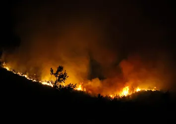 Manavgat'ta evini kurtarmak için alevlere meydan okudu! Ya ölecek ya kalacağız