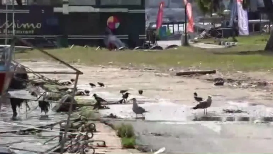 Haliç kirlilikle boğuşuyor