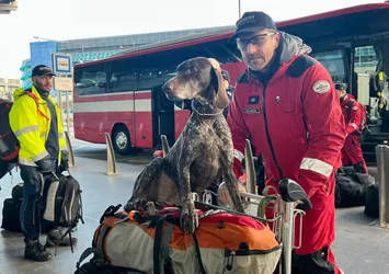 En doğru verileri onlar veriyor! Hayat kurtaran köpekler: Canlı ile cansız arasındaki koku farkını ayırt edebiliyorlar
