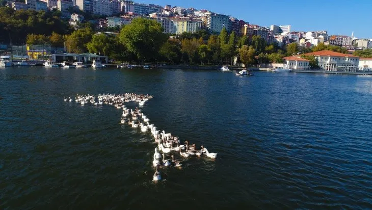 Haliç 90’lara geri döndü: Çöp ve çamura boğuldu!