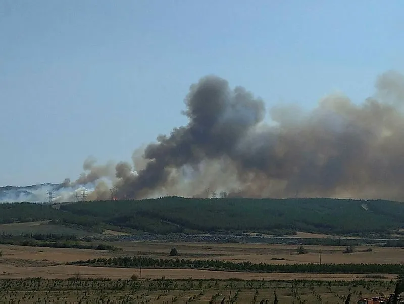 Son Dakika Gelibolu Da Korkutan Yangin
