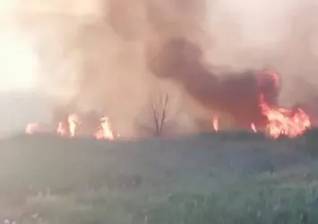 Ankara'daki Nallıhan Kuş Cenneti sazlığındaki yangının nedeni belli oldu