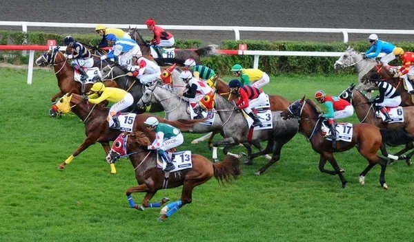 97. GAZİ KOŞUSU CANLI İZLE! Gazi Koşusu saat kaçta, hangi kanalda yayınlanacak? Birincilik ödülü...