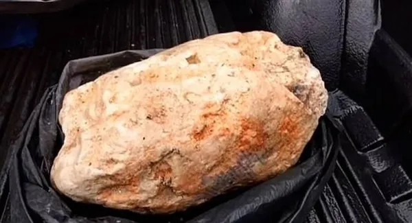 Tayland’da balıkçının şaşkına çeviren "ambergris" keşfi! Fiyatı dudak uçuklattı... - 2