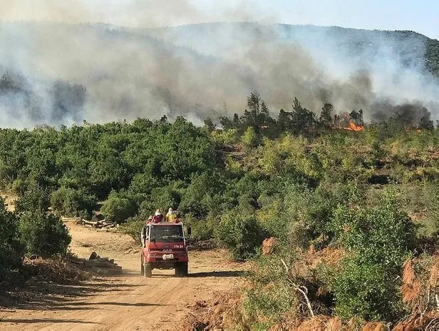 Keşan'da orman yangını! Bakan Pakdemirli: Yangın çok kuvvetle kontrol altında - 2