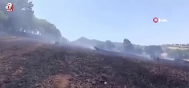 Balıkesir'de samanlar tarlada yandı