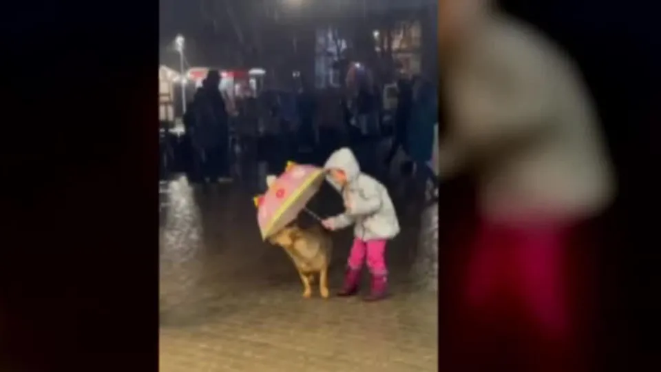 Şemsiyesini ıslanan köpekle paylaştı