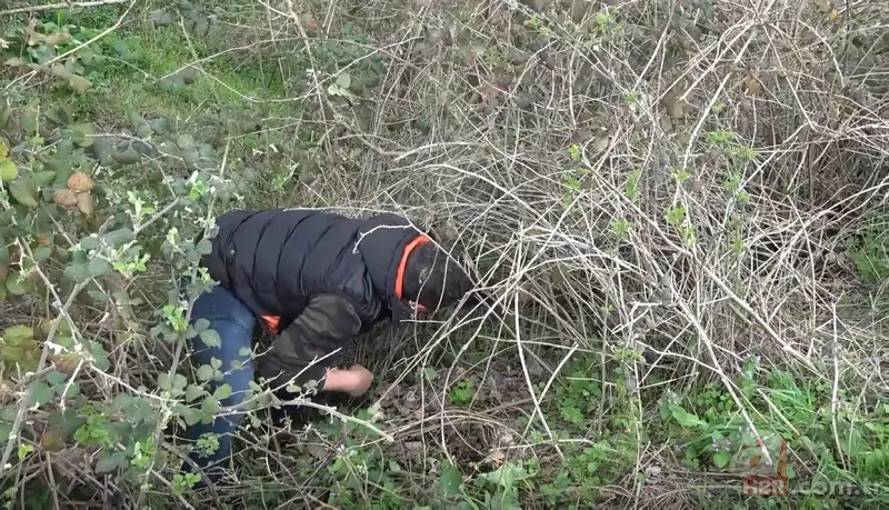 Son dakika: Bursa'da nadir görülen yırtıcı kuşu kurtarırken yaralandı! Pençesiyle... 1