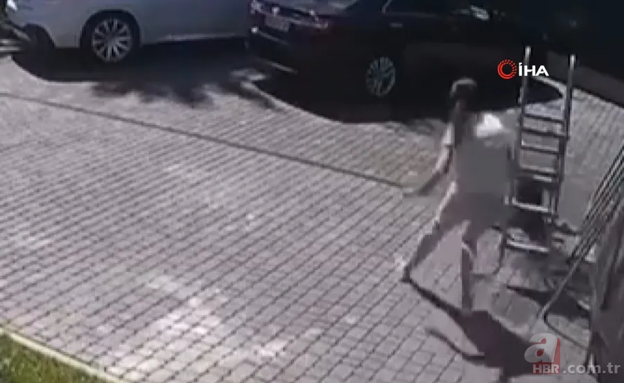 Maymun böyle kaçırdı! Halk seferber oldu 14