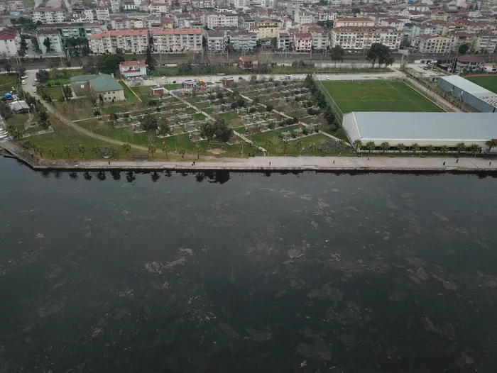 İzmit Körfezi’ndeki tedirgin eden görüntü! Nedeni belli oldu - 6