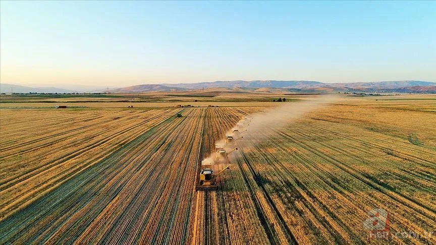 Müjde son dakika duyuruldu! Çiftçilere 5000 TL ikramiye verilecek mi? ÇKS belgesi olanlar ikramiye alacak mı? 3