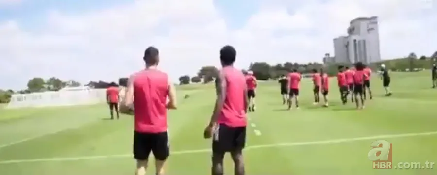 Sürücülerin kabusu oldu! Geceleri ortaya çıkıp yola fırlıyor 17